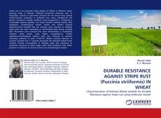 Couverture de DURABLE RESISTANCE AGAINST STRIPE RUST (Puccinia striiformis) IN WHEAT