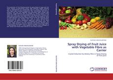 Spray Drying of Fruit Juice with Vegetable Fibre as Carrier的封面