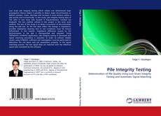 Capa do livro de Pile Integrity Testing 