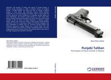 Capa do livro de Punjabi Taliban 