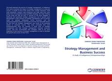 Capa do livro de Strategy Management and Business Success 