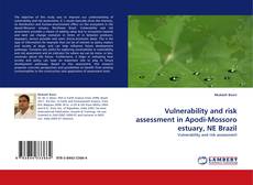 Capa do livro de Vulnerability and risk assessment in Apodi-Mossoro estuary, NE Brazil 