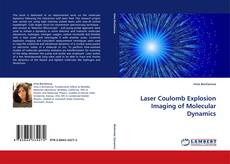 Capa do livro de Laser Coulomb Explosion Imaging of Molecular Dynamics 