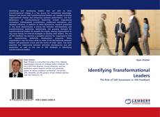 Identifying Transformational Leaders的封面