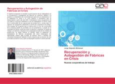Recuperación y Autogestión de Fábricas en Crisis kitap kapağı