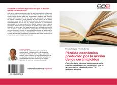 Capa do livro de Pérdida económica producido por la acción de los cerambícidos 