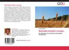 Buchcover von Sensado remoto a campo