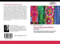 Bookcover of Pocos hijos para darles mucho