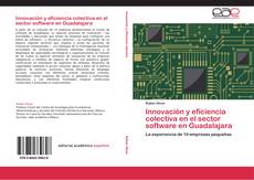 Innovación y eficiencia colectiva en el sector software en Guadalajara的封面