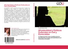 Buchcover von Afroidentidad y Políticas Culturales en Cali y Esmeraldas