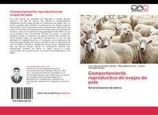 Borítókép a  Comportamiento reproductivo de ovejas de pelo - hoz
