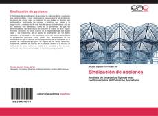 Bookcover of Sindicación de acciones