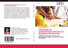 Portada del libro de Viabilidad del mantenimiento efectivo en República Dominicana
