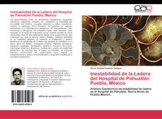 Bookcover of Inestabilidad de la Ladera del Hospital de Pahuatlán Puebla, México