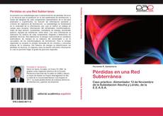 Bookcover of Pérdidas en una Red Subterránea