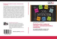 Обложка Satisfacción Laboral: causas, consecuencias y medición