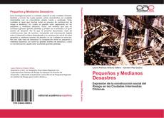 Buchcover von Pequeños y Medianos Desastres