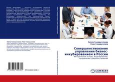 Capa do livro de Совершенствование управления бизнес-инкубированием в России 