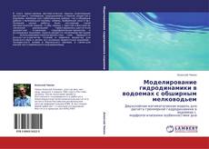 Bookcover of Моделирование гидродинамики в водоемах с обширным мелководьем