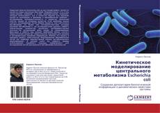 Bookcover of Кинетическое моделирование центрального метаболизма Escherichia coli
