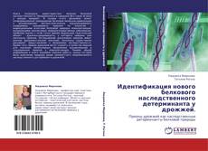 Bookcover of Идентификация нового белкового наследственного детерминанта у дрожжей.