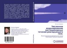 Capa do livro de Численное моделирование нестационарных течений реагирующего газа. 