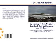 Upgrading of High Moisture Low Rank Coal to Hydrogen and Methane kitap kapağı