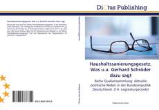 Bookcover of Haushaltssanierungsgesetz. Was u.a. Gerhard Schröder dazu sagt
