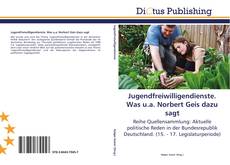 Bookcover of Jugendfreiwilligendienste. Was u.a. Norbert Geis dazu sagt