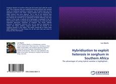 Buchcover von Hybridisation to exploit heterosis in sorghum in Southern Africa