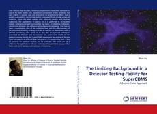 Copertina di The Limiting Background in a Detector Testing Facility for SuperCDMS