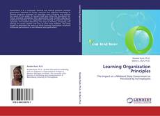 Capa do livro de Learning Organization Principles 