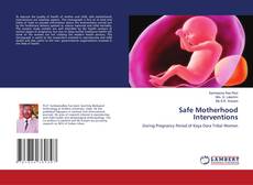 Capa do livro de Safe Motherhood Interventions 