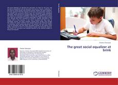 Bookcover of The great social equalizer at brink