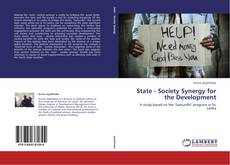 Capa do livro de State - Society Synergy for the Development 