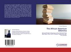 The African American Dilemma的封面