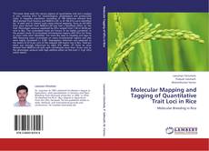 Copertina di Molecular Mapping and Tagging of Quantitative Trait Loci in Rice