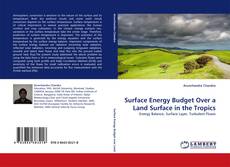 Buchcover von Surface Energy Budget Over a Land Surface in the Tropics