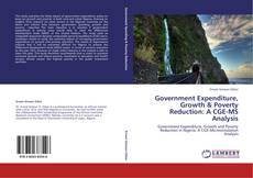 Government Expenditure, Growth & Poverty Reduction: A CGE-MS Analysis kitap kapağı