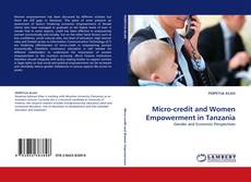 Portada del libro de Micro-credit and Women Empowerment in Tanzania