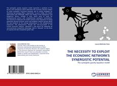 Capa do livro de THE NECESSITY TO EXPLOIT THE ECONOMIC NETWORK'S SYNERGISTIC POTENTIAL 