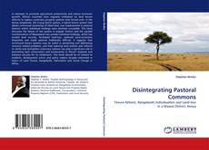 Capa do livro de Disintegrating Pastoral Commons 
