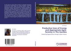 Bookcover of Productive Uses of Energy and Appropriate Agro-forestry in The Gambia