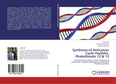 Buchcover von Syntheses of Anticancer Cyclic Peptides, Phakellistatin 12 & 13