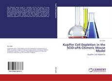 Borítókép a  Kupffer Cell Depletion in the SCID-uPA Chimeric Mouse Model - hoz
