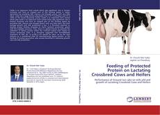 Buchcover von Feeding of Protected Protein on Lactating Crossbred Cows and Heifers