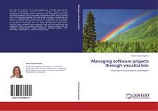 Bookcover of Managing software projects through visualization