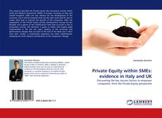 Capa do livro de Private Equity within SMEs: evidence in Italy and UK 