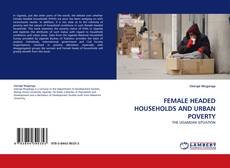 Capa do livro de FEMALE HEADED HOUSEHOLDS AND URBAN POVERTY 