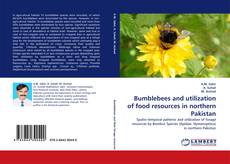 Buchcover von Bumblebees and utilization of food resources in northern Pakistan